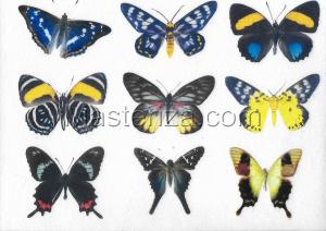 Фетр с рисунком "Бабочки", арт.FP-BF-5, 19х28 см