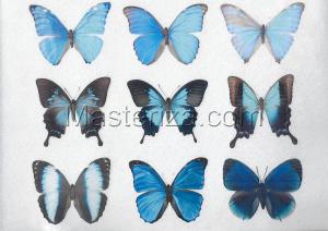 Фетр с рисунком "Бабочки", арт.FP-BF-3, 19х28 см