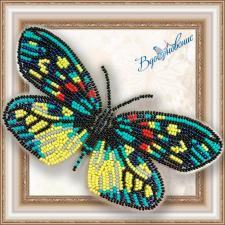 Набор для вышивки бисером на прозрачной основе "Бабочка "Erasmia Pulehera""