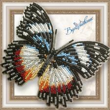 Набор для вышивки бисером на прозрачной основе "Бабочка "Гиполимнас декситея""
