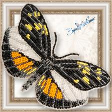 Набор для вышивки бисером на прозрачной основе "Бабочка "Dismorphia eunoe desine​​​​​​​""