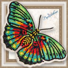 Набор для вышивки бисером на прозрачной основе "Бабочка "Euphaedra edwardsi​​​​​​​""