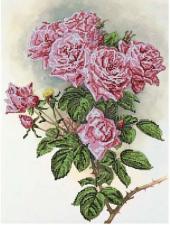 Астрея | Схема Кустовые розы. Размер - 30 х 40 см