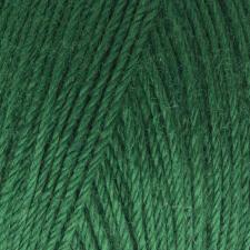 Пряжа Gazzal Baby Wool (40% шерсть мериноса, 20% кашемир ПА, 40% акрил, 50 гр/175 м),814 зелёный