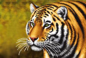 Тигр. Размер - 39 х 27 см.