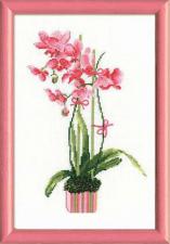 Розовая орхидея. Размер - 21 х 30 см.